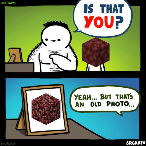 Is that you? Yeah, but that's an old photo | image tagged in is that you yeah but that's an old photo,netherrack,old minecraft texture | made w/ Imgflip meme maker