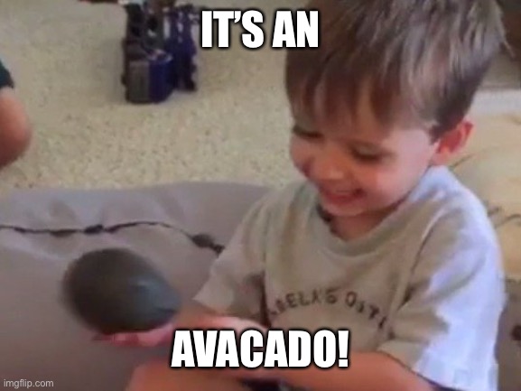 Avacado | IT’S AN AVACADO! | image tagged in avacado | made w/ Imgflip meme maker