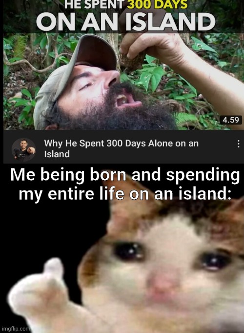Me being born and spending my entire life on an island: | image tagged in sad cat thumbs up | made w/ Imgflip meme maker