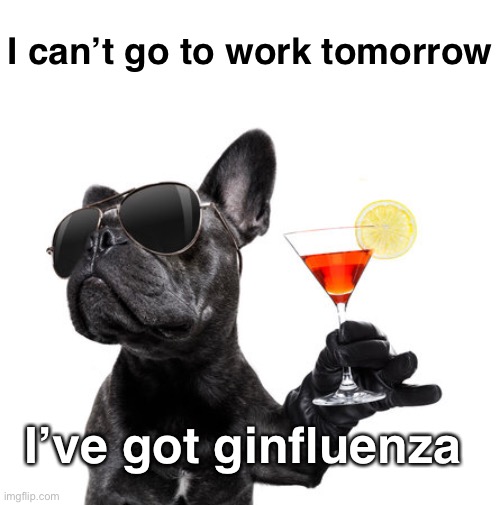 Summertime and the Sippin’s Easy | I can’t go to work tomorrow; I’ve got ginfluenza | image tagged in bad jokes,eyeroll,funny memes | made w/ Imgflip meme maker