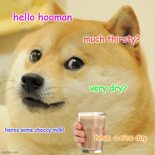 ok | hello hooman; much thirsty? very dry? heres some choccy milk! have  a nice day | image tagged in memes,doge | made w/ Imgflip meme maker