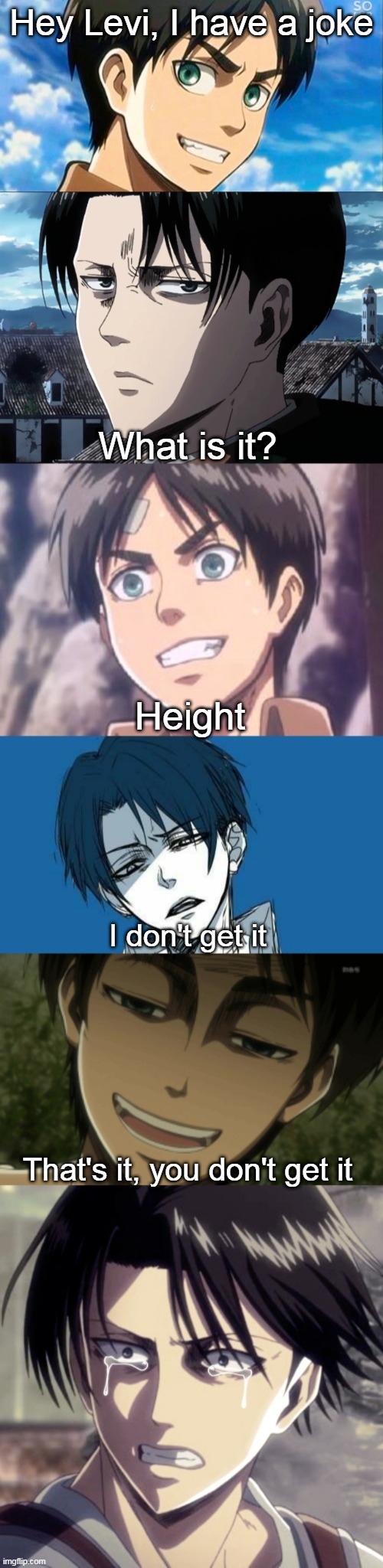 Roast | Hey Levi, I have a joke; What is it? Height; I don't get it; That's it, you don't get it | image tagged in aot,attack on titan,levi,short levi | made w/ Imgflip meme maker