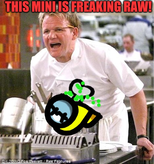 Worst cooking show ever! | THIS MINI IS FREAKING RAW! | image tagged in memes,chef gordon ramsay,mini crewmate,freaking raw,among us | made w/ Imgflip meme maker