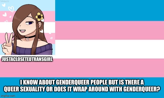 JustAClosetedTransGirl Announcement Board | I KNOW ABOUT GENDERQUEER PEOPLE BUT IS THERE A QUEER SEXUALITY OR DOES IT WRAP AROUND WITH GENDERQUEER? | image tagged in justaclosetedtransgirl announcement board,transgender,queer,serious | made w/ Imgflip meme maker