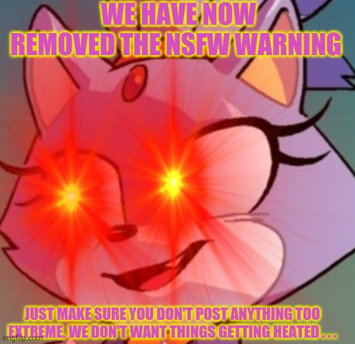 Good news or bad news? Idk neutral news? Or just news news. Yeah that works | WE HAVE NOW REMOVED THE NSFW WARNING; JUST MAKE SURE YOU DON'T POST ANYTHING TOO EXTREME. WE DON'T WANT THINGS GETTING HEATED . . . | image tagged in blaze the cat triggered,fake news,nsfw,triggered,silver | made w/ Imgflip meme maker