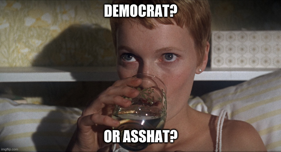 A real nice conversation ice breaker | DEMOCRAT? OR ASSHAT? | image tagged in rosemary | made w/ Imgflip meme maker