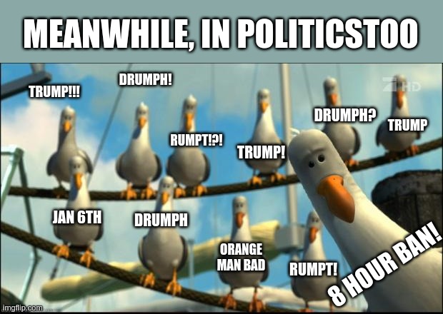 It's like they all share the same brain...the same tiny brain | MEANWHILE, IN POLITICSTOO; DRUMPH! TRUMP!!! TRUMP; DRUMPH? RUMPT!?! TRUMP! JAN 6TH; DRUMPH; ORANGE MAN BAD; 8 HOUR BAN! RUMPT! | image tagged in nemo seagulls mine | made w/ Imgflip meme maker