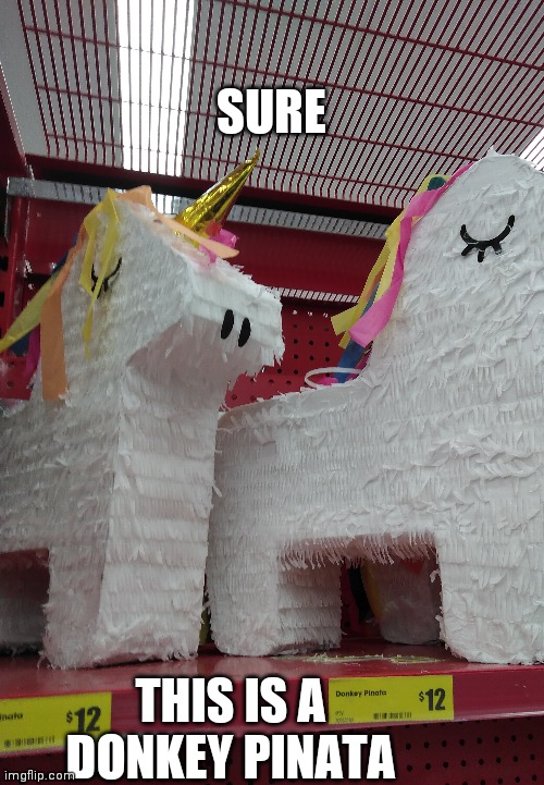 You had one job | SURE; THIS IS A DONKEY PINATA | image tagged in you had one job,you had one job just the one,you had messed up your last job | made w/ Imgflip meme maker