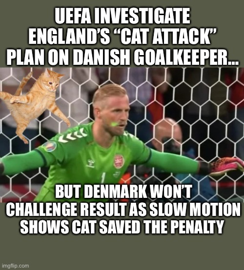 Cat attack | UEFA INVESTIGATE ENGLAND’S “CAT ATTACK” PLAN ON DANISH GOALKEEPER…; BUT DENMARK WON’T CHALLENGE RESULT AS SLOW MOTION SHOWS CAT SAVED THE PENALTY | image tagged in funny cat memes,goalkeeper | made w/ Imgflip meme maker