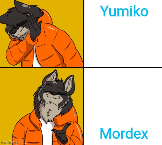 Furry Drake Hotline Bling | Yumiko Mordex | image tagged in furry drake hotline bling | made w/ Imgflip meme maker