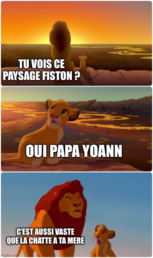 Lion King Meme | TU VOIS CE PAYSAGE FISTON ? OUI PAPA YOANN; C’EST AUSSI VASTE QUE LA CHATTE A TA MÈRE | image tagged in lion king meme | made w/ Imgflip meme maker