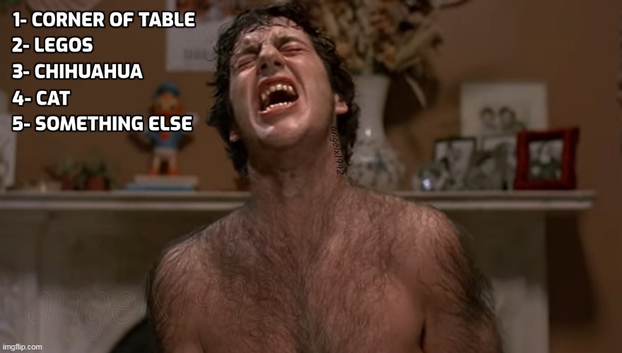 image tagged in american werewolf in london,legos,chihuahua,cat,table,multiple choice question | made w/ Imgflip meme maker