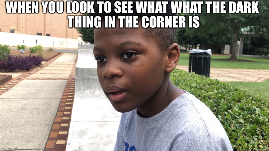 Uhm | WHEN YOU LOOK TO SEE WHAT WHAT THE DARK 
THING IN THE CORNER IS | image tagged in idk | made w/ Imgflip meme maker