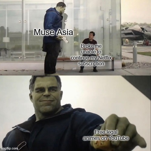 Also Ani-one, arigatou. | Muse Asia; Broke me unable to continue my Netflix subscription; Free legal animes on YouTube | image tagged in k | made w/ Imgflip meme maker