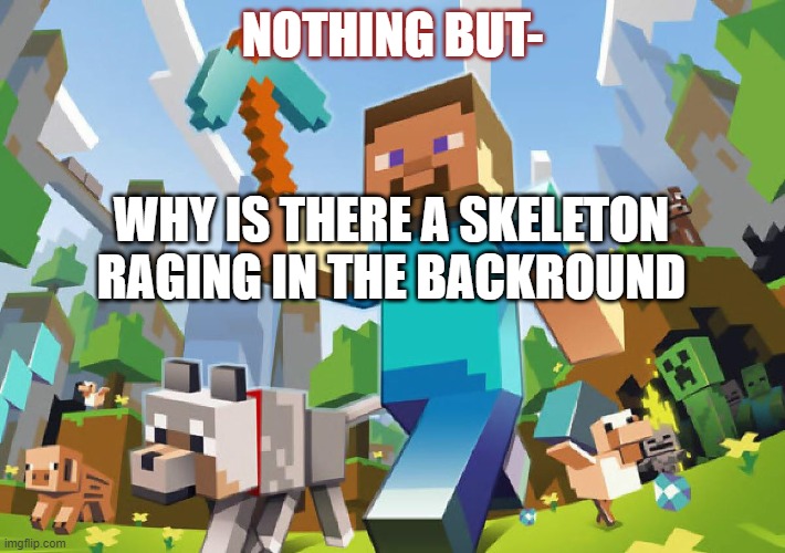 Minecraft  | NOTHING BUT-; WHY IS THERE A SKELETON RAGING IN THE BACKROUND | image tagged in minecraft | made w/ Imgflip meme maker