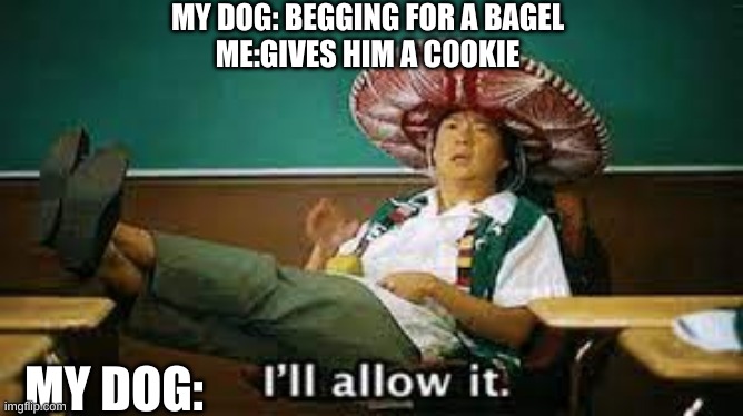 i'll allow it |  MY DOG: BEGGING FOR A BAGEL
ME:GIVES HIM A COOKIE; MY DOG: | image tagged in i'll allow it | made w/ Imgflip meme maker
