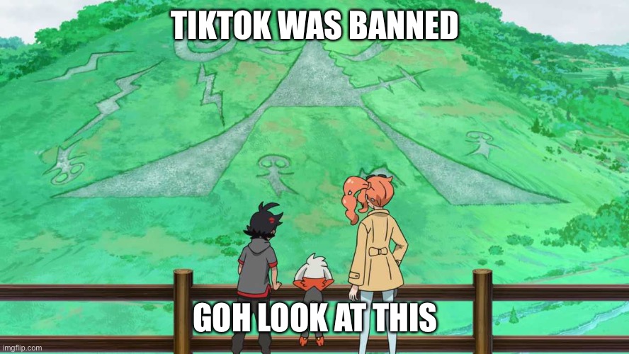 Goh look at this | TIKTOK WAS BANNED; GOH LOOK AT THIS | image tagged in pokemon | made w/ Imgflip meme maker