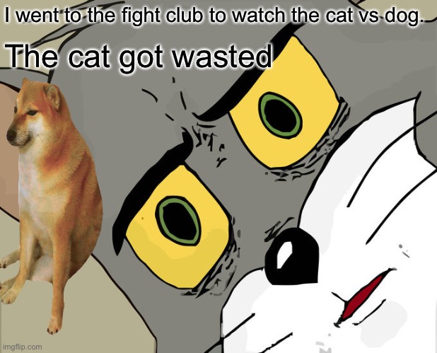 Unsettled Tom Meme | I went to the fight club to watch the cat vs dog. The cat got wasted | image tagged in memes,unsettled tom | made w/ Imgflip meme maker