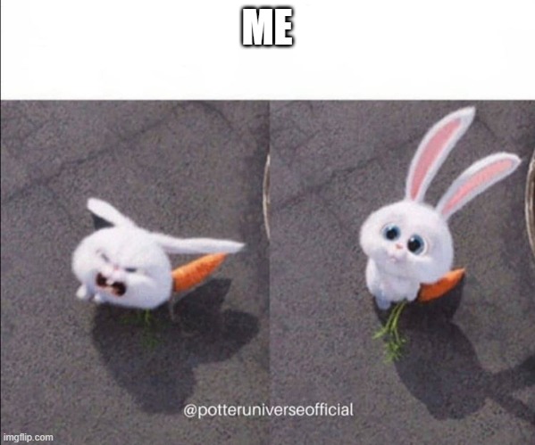Nice and evil rabbit | ME | image tagged in nice and evil rabbit | made w/ Imgflip meme maker