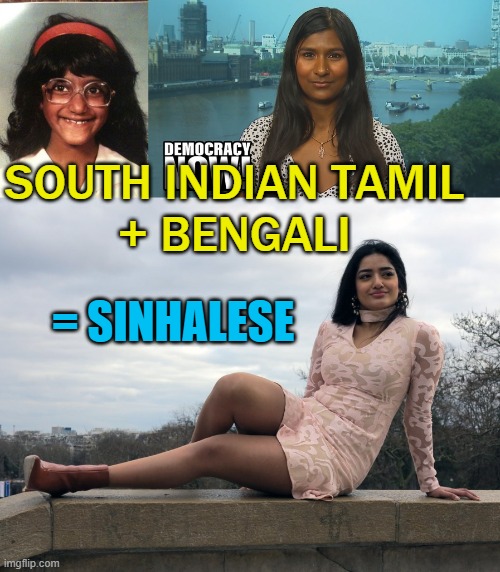 South Indian Tamil + Bengali = Sinhalese | SOUTH INDIAN TAMIL
+ BENGALI; = SINHALESE | image tagged in genetic admixture of sinhalese | made w/ Imgflip meme maker