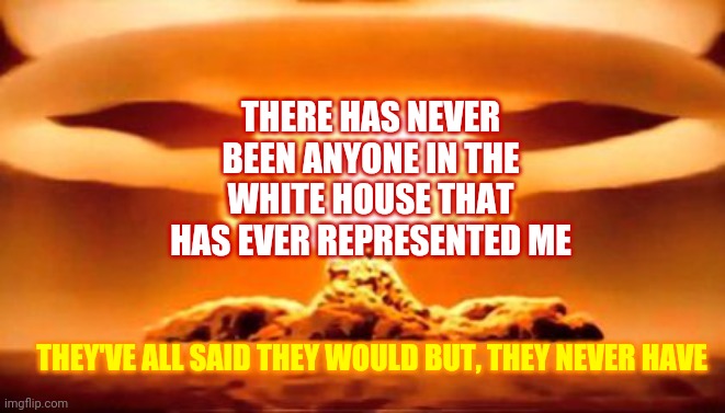 There Are No Political Parties | THERE HAS NEVER BEEN ANYONE IN THE WHITE HOUSE THAT HAS EVER REPRESENTED ME; THEY'VE ALL SAID THEY WOULD BUT, THEY NEVER HAVE | image tagged in truth bomb,memes,democrats,republicans,independent,trumpublicans | made w/ Imgflip meme maker