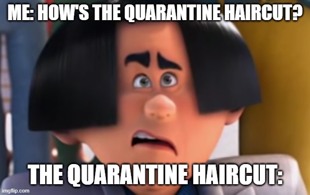 my new haircut | ME: HOW'S THE QUARANTINE HAIRCUT? THE QUARANTINE HAIRCUT: | image tagged in o'hare confused | made w/ Imgflip meme maker