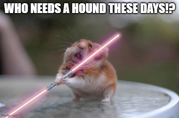 Star Wars hamster | WHO NEEDS A HOUND THESE DAYS!? | image tagged in star wars hamster | made w/ Imgflip meme maker
