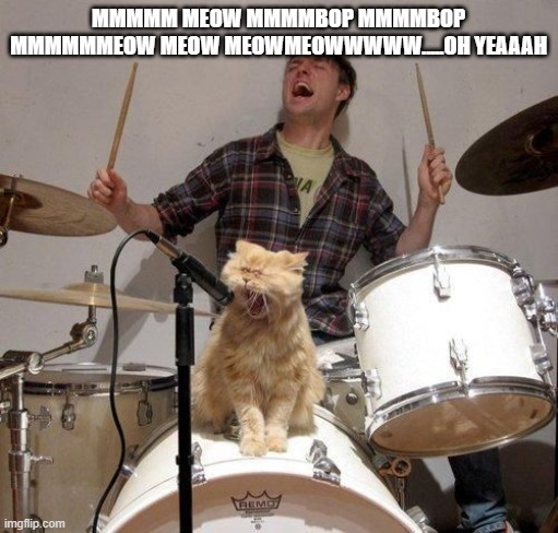 Singing Cat | MMMMM MEOW MMMMBOP MMMMBOP MMMMMMEOW MEOW MEOWMEOWWWWW.....OH YEAAAH | image tagged in singing cat | made w/ Imgflip meme maker
