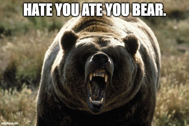Mad Bear | HATE YOU ATE YOU BEAR. | image tagged in mad bear | made w/ Imgflip meme maker