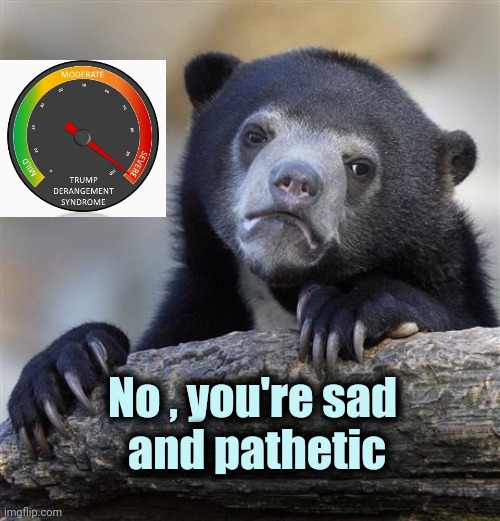 Confession Bear Meme | No , you're sad
 and pathetic | image tagged in memes,confession bear | made w/ Imgflip meme maker