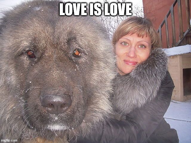 LOVE IS LOVE | made w/ Imgflip meme maker