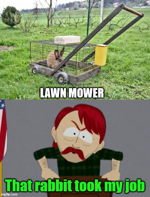 LAWN MOWER; That rabbit took my job | image tagged in they took our jobs stance south park,bunnies | made w/ Imgflip meme maker