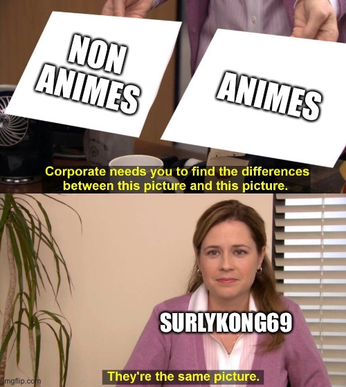 They are the same picture | NON ANIMES ANIMES SURLYKONG69 | image tagged in they are the same picture | made w/ Imgflip meme maker