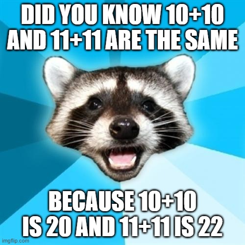 Lame Pun Coon | DID YOU KNOW 10+10 AND 11+11 ARE THE SAME; BECAUSE 10+10 IS 20 AND 11+11 IS 22 | image tagged in memes,lame pun coon | made w/ Imgflip meme maker