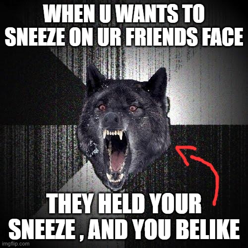 what should i do when they do this to me | WHEN U WANTS TO SNEEZE ON UR FRIENDS FACE; THEY HELD YOUR SNEEZE , AND YOU BELIKE | image tagged in memes,insanity wolf | made w/ Imgflip meme maker