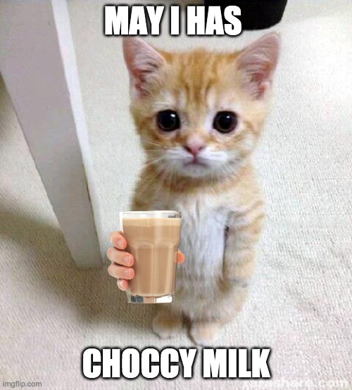 Cute Cat Meme | MAY I HAS; CHOCCY MILK | image tagged in memes,cute cat | made w/ Imgflip meme maker