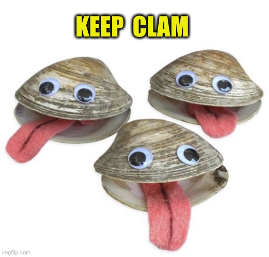 Clams | KEEP  CLAM | image tagged in clams | made w/ Imgflip meme maker
