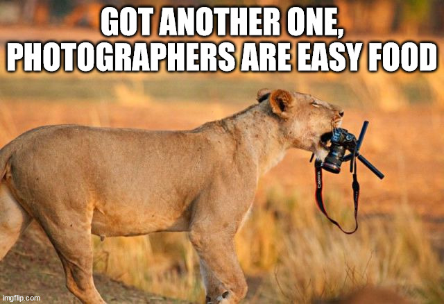 GOT ANOTHER ONE, PHOTOGRAPHERS ARE EASY FOOD | image tagged in dark humor | made w/ Imgflip meme maker
