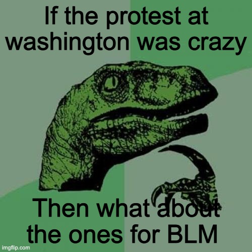 liers | If the protest at washington was crazy; Then what about the ones for BLM | image tagged in memes,philosoraptor | made w/ Imgflip meme maker