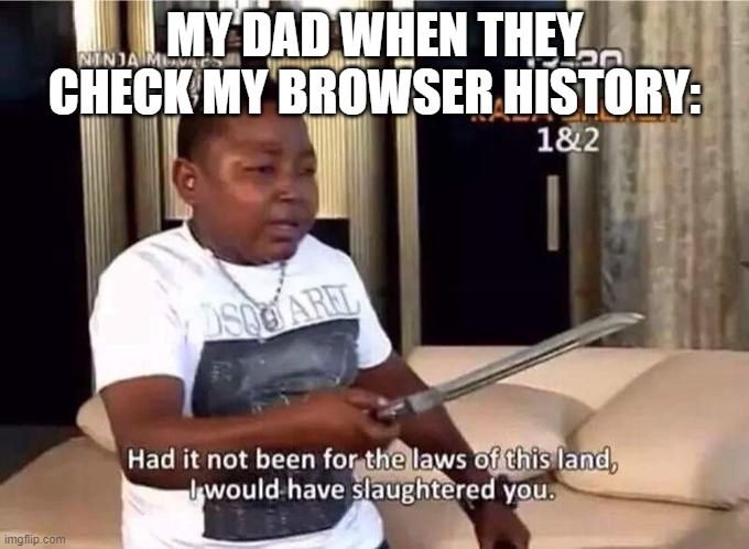 if not for the laws of this land i would have slaughtered you | MY DAD WHEN THEY CHECK MY BROWSER HISTORY: | image tagged in if not for the laws of this land i would have slaughtered you,browser history | made w/ Imgflip meme maker