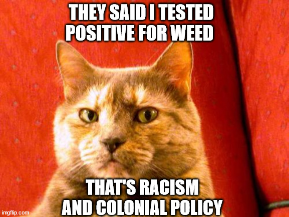 Suspicious Cat | THEY SAID I TESTED POSITIVE FOR WEED; THAT'S RACISM AND COLONIAL POLICY | image tagged in memes,suspicious cat | made w/ Imgflip meme maker