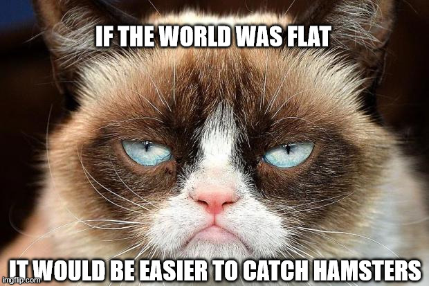 Grumpy Cat Not Amused | IF THE WORLD WAS FLAT; IT WOULD BE EASIER TO CATCH HAMSTERS | image tagged in memes,grumpy cat not amused,grumpy cat | made w/ Imgflip meme maker
