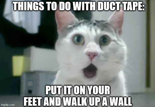 OMG Cat | THINGS TO DO WITH DUCT TAPE:; PUT IT ON YOUR FEET AND WALK UP A WALL | image tagged in memes,omg cat | made w/ Imgflip meme maker