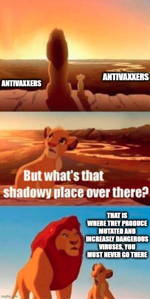 Simba Shadowy Place | ANTIVAXXERS; ANTIVAXXERS; THAT IS WHERE THEY PRODUCE MUTATED AND INCREASLY DANGEROUS VIRUSES, YOU MUST NEVER GO THERE | image tagged in memes,simba shadowy place,antivax,stupid people,covid19,maga | made w/ Imgflip meme maker