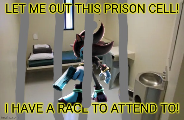 Shadow has been arrested and a previous announcement has been reversed. | LET ME OUT THIS PRISON CELL! I HAVE A RACE TO ATTEND TO! | image tagged in federal prison cell,nmcs,shadow the hedgehog,shadow,memes,nascar | made w/ Imgflip meme maker