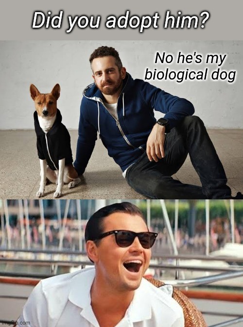 People are always asking, did you adopt that dog? | image tagged in memes,leonardo dicaprio wolf of wall street,adoption,animal rescue | made w/ Imgflip meme maker