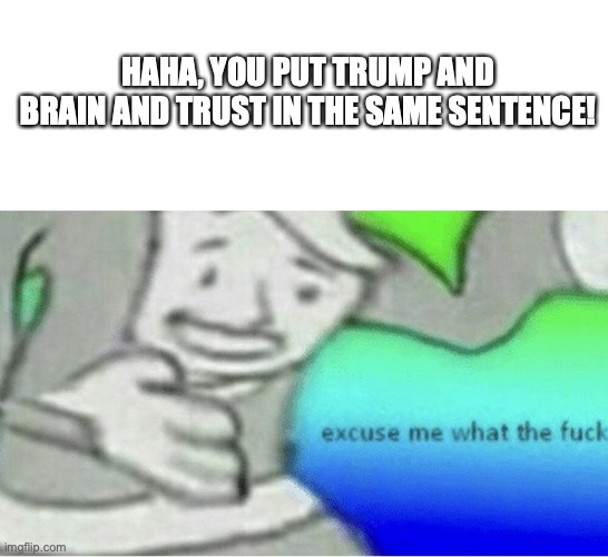 Excuse me wtf blank template | HAHA, YOU PUT TRUMP AND BRAIN AND TRUST IN THE SAME SENTENCE! | image tagged in excuse me wtf blank template | made w/ Imgflip meme maker