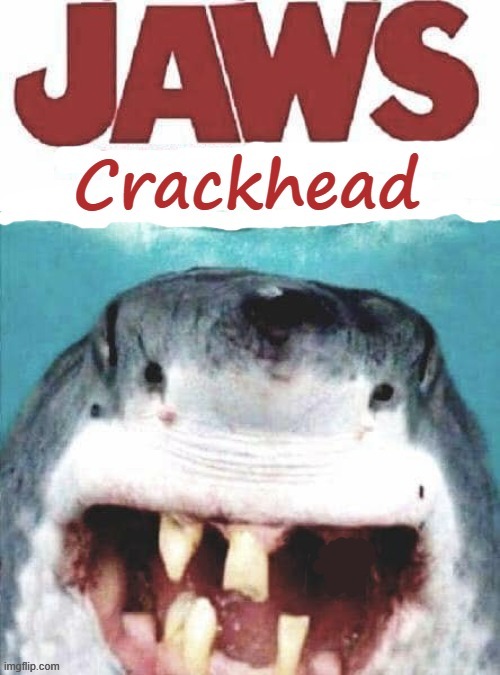 JAWS crackhead | image tagged in no teeth | made w/ Imgflip meme maker