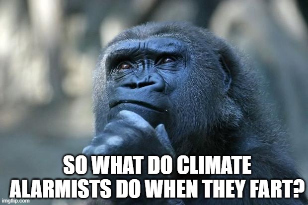 Deep Thoughts | SO WHAT DO CLIMATE ALARMISTS DO WHEN THEY FART? | image tagged in deep thoughts | made w/ Imgflip meme maker