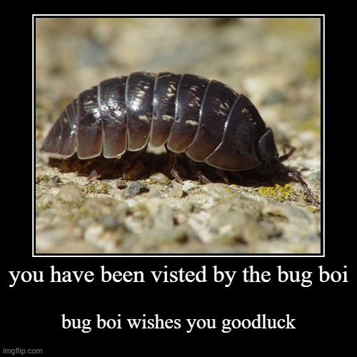 bug boi | image tagged in funny,demotivationals | made w/ Imgflip demotivational maker
